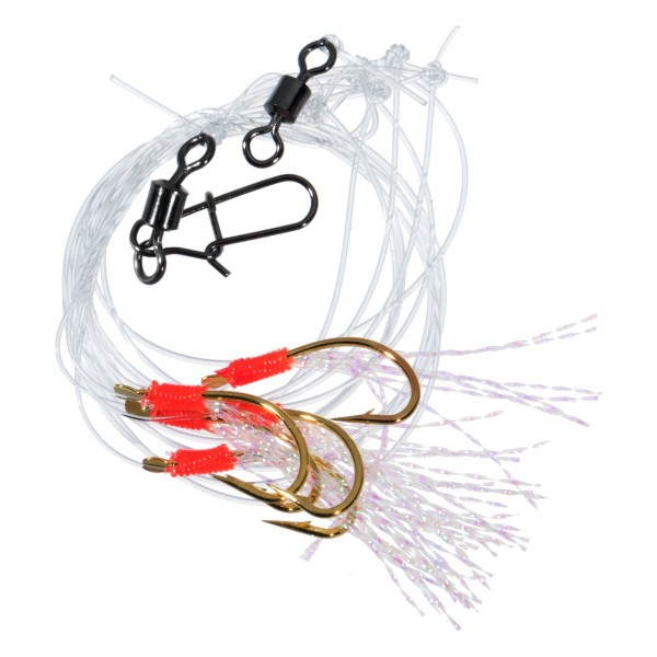 Jaxon Gotovi Predvezi